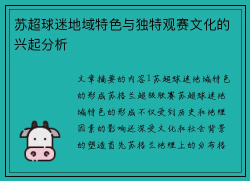 苏超球迷地域特色与独特观赛文化的兴起分析