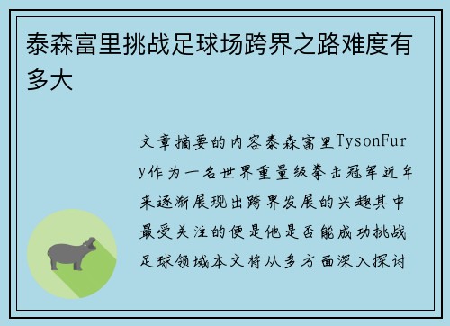 泰森富里挑战足球场跨界之路难度有多大